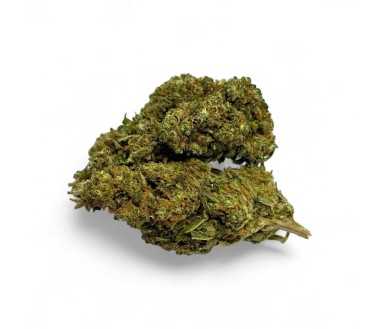 Déstockage Fleur de CBD Harlequin Indoor - Quantité Limitée