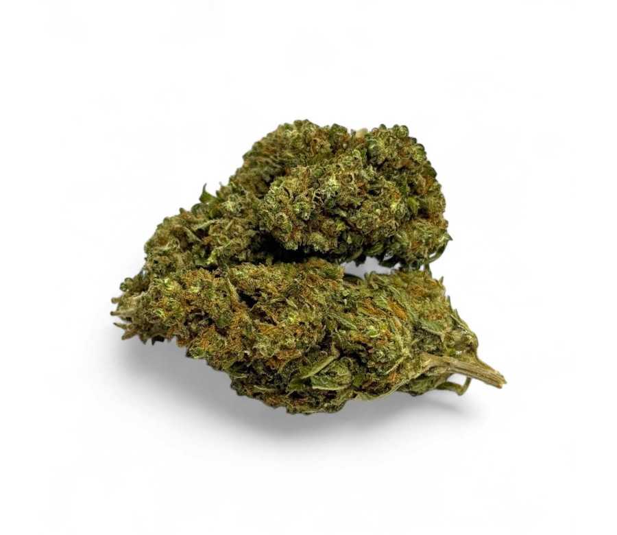 Déstockage Fleur de CBD Harlequin Indoor - Quantité Limitée