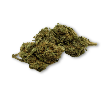 Déstockage Fleur de CBD Harlequin Indoor - Quantité Limitée