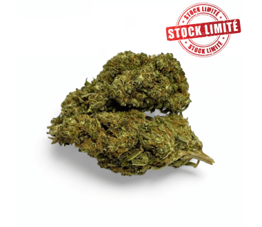 Déstockage Fleur de CBD Harlequin Indoor - Quantité Limitée