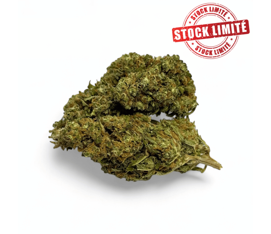 Déstockage Fleur de CBD Harlequin Indoor - Quantité Limitée
