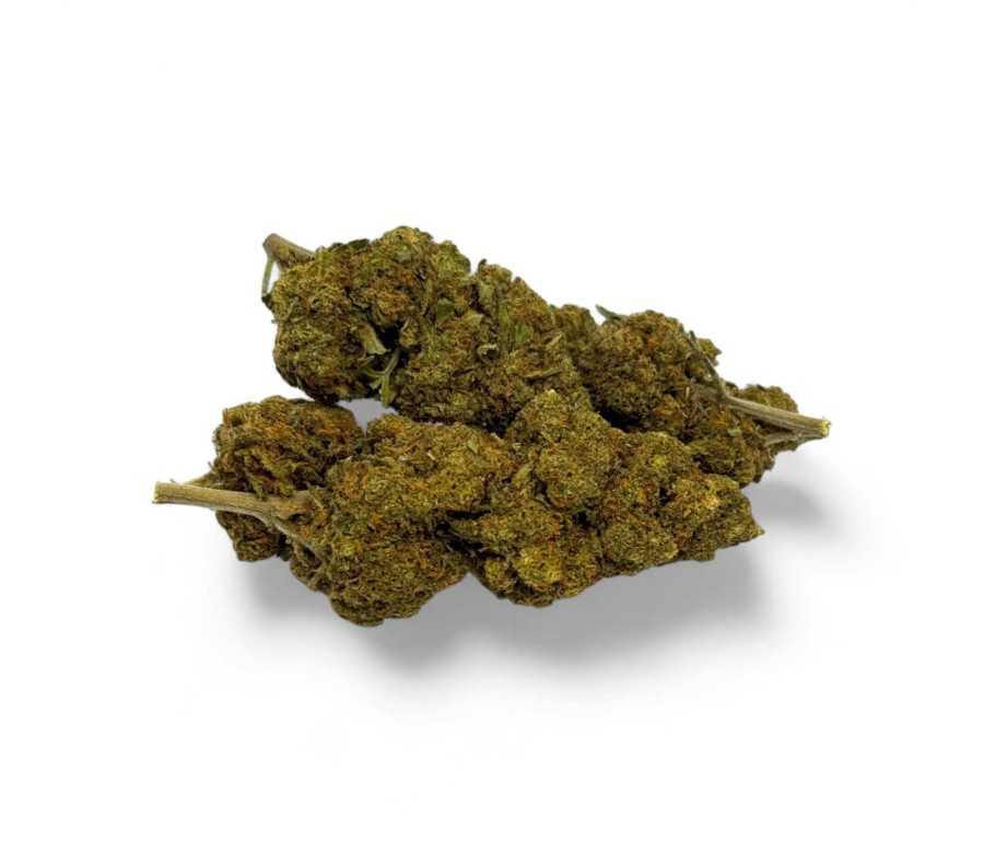 Fleur CBD Critical+ Greenhouse 8% Fleur CBD Critical+ Greenhouse 8%