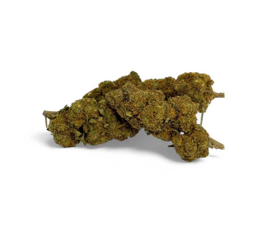 Fleur CBD Critical+ Greenhouse 8% Fleur CBD Critical+ Greenhouse 8%