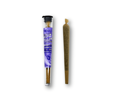 Cbd-Gardens | Accueil