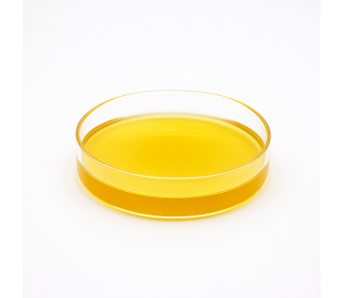 Cbd-Gardens | Accueil