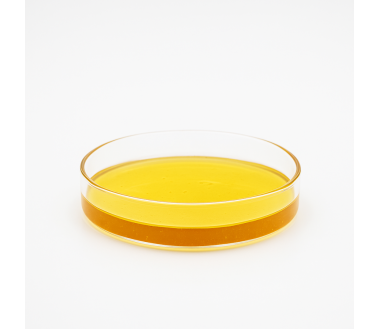 Cbd-Gardens | Accueil