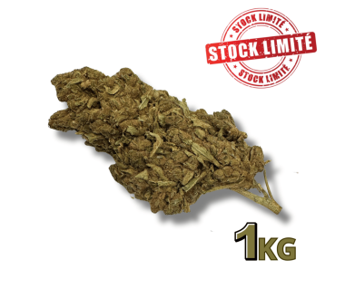 Cbd-Gardens | Accueil