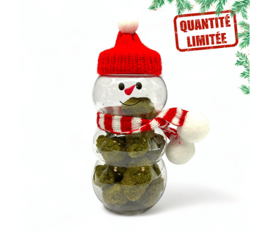 Fleurs CBD Frozen Édition Noël 20GR - Édition Limitée