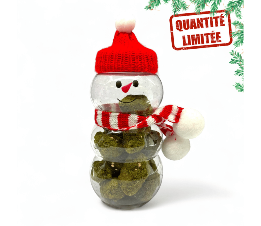 Fleurs CBD Frozen Édition Noël 20GR - Édition Limitée