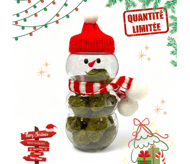 Fleurs CBD Frozen Édition Noël 20GR - Édition Limitée