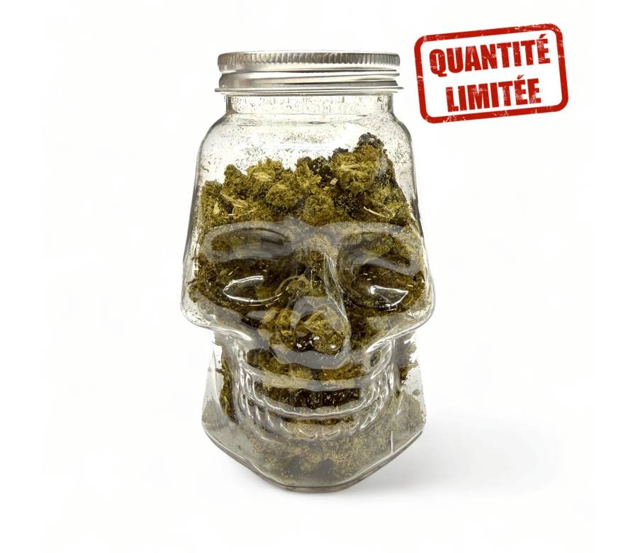 Fleurs CBD Small Bud Skull 25GR - Édition Limitée Halloween