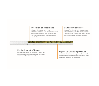 Pod CBD Rechargeable Goyave Frappée | GREENEO