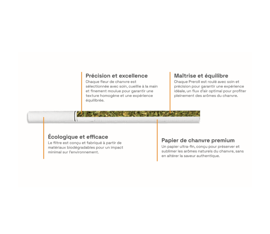 Cigarettes CBD Amnesia COAST