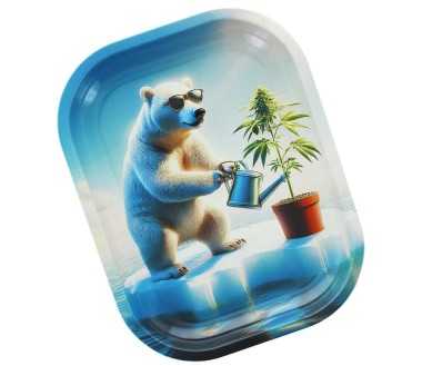 Plateau de roulage Beuz Arctic Grower