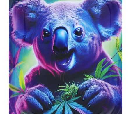 Plateau de roulage Beuz Crazy Koala