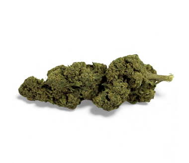 Fleur de CBD Candy Kush Greenhouse