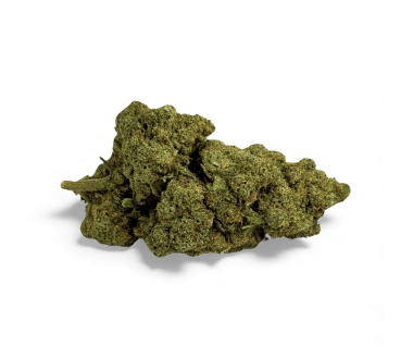 Lot de 100 sachets de thé jetables à remplir