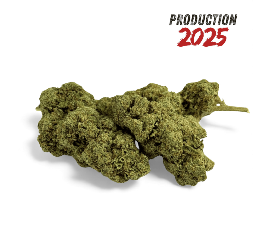 Fleur de CBD Grape Gas Greenhouse