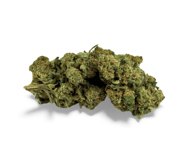 Fleur de CBD Super White Frost Greenhouse