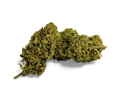 Fleur de CBD Banana Smash Greenhouse