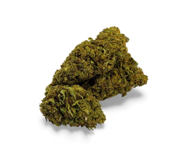 Fleur de CBD Sour Lime Haze Greenhouse