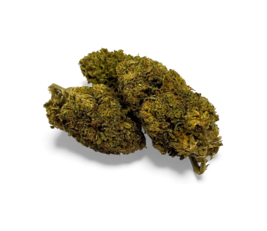 Fleur de CBD Chem Crush Greenhouse