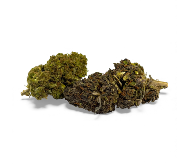 Fleur de CBD Mandarine Haze Greenhouse