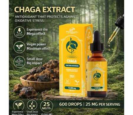 Extrait de Champignon Chaga MYXILLUIM  30 ml | PLANT OF LIFE