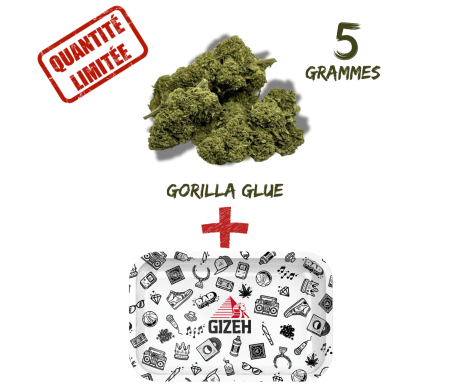 Pack Fleur CBD Gorilla Glue Greenhouse 8% + Plateau à Rouler GIZEH Comic Blanc 275x175mm