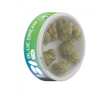 Fleur de CBD Blue Dream 2.5g - IZI