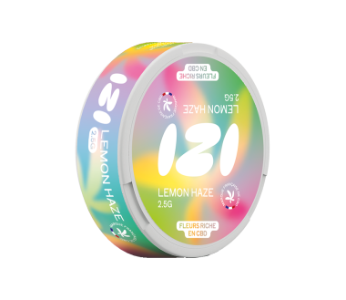 3 Graines Critical FÉMINISÉE | Plant of Life