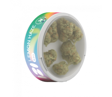 Fleur de CBD Lemon Haze 2.5g - IZI