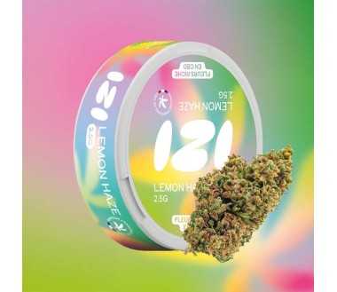 Fleur de CBD Lemon Haze 2.5g - IZI