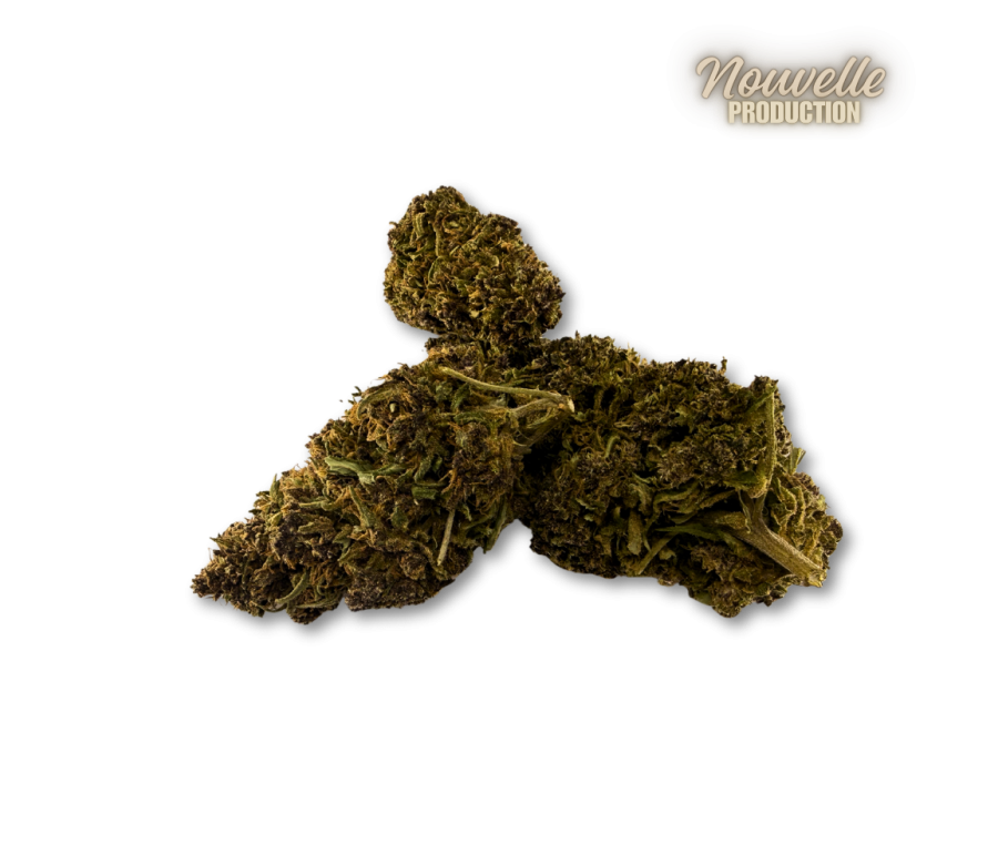 Fleur CBD Saphire Hybride Indoor