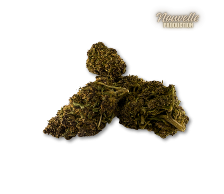 Fleur CBD Saphire Hybride Indoor