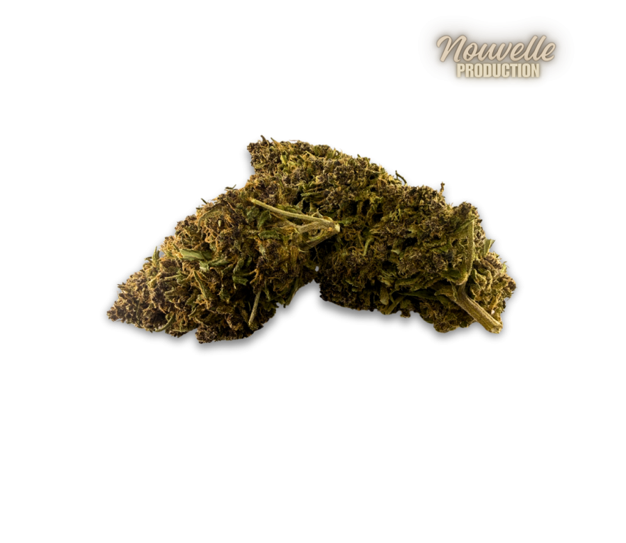 Fleur CBD Saphire Hybride Indoor