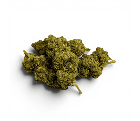 Fleur de CBD Sweet Cheese Indoor