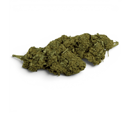 Fleur de CBD Super Silver Haze Indoor