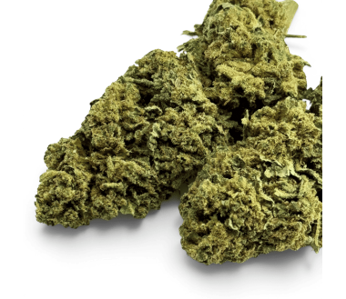 Fleur de CBD Super Silver Haze Indoor