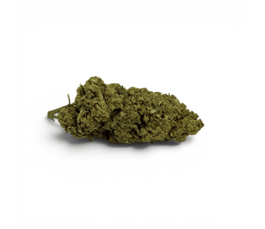 Fleur de CBD Super Silver Haze Indoor