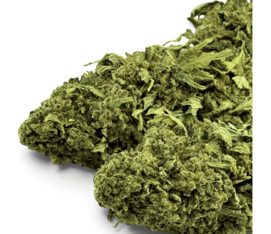 Fleur de CBD Super Skunk Indoor