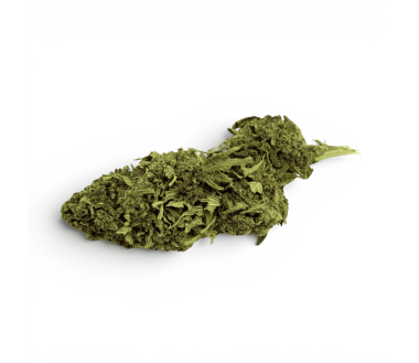 Fleur de CBD Super Skunk Indoor