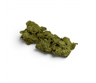 Fleur de CBD Jack Herer Indoor