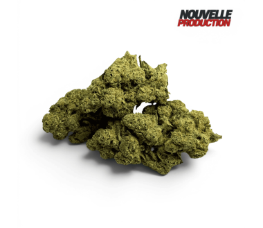 Fleur de CBD Jack Herer Indoor