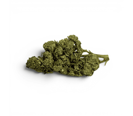 Fleur de CBD White Dawg Indoor