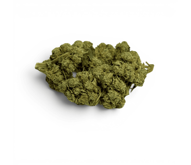 Fleur de CBD White Dawg Indoor
