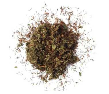 Mélange de plantes | L'AVENTURIÈRE (25G)