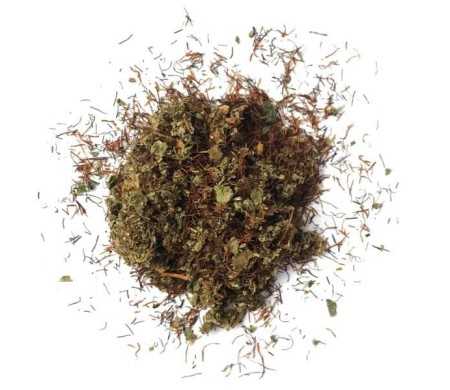 Mélange de plantes | L'AVENTURIÈRE (500 gr)
