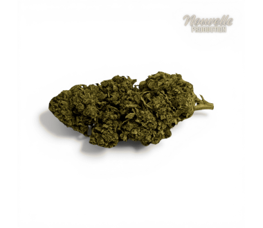 Déstockage 1KG SMALL BUD CBD