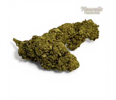 Fleur de CBD California Pink Haze NL-1 10%